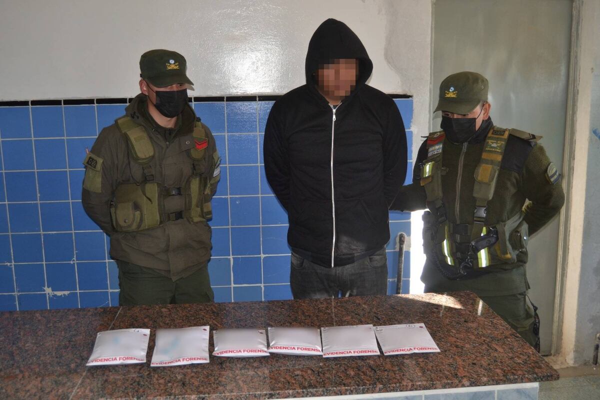 Eficaz binomio cinotécnico descubrió cocaína en tránsito, en Jujuy