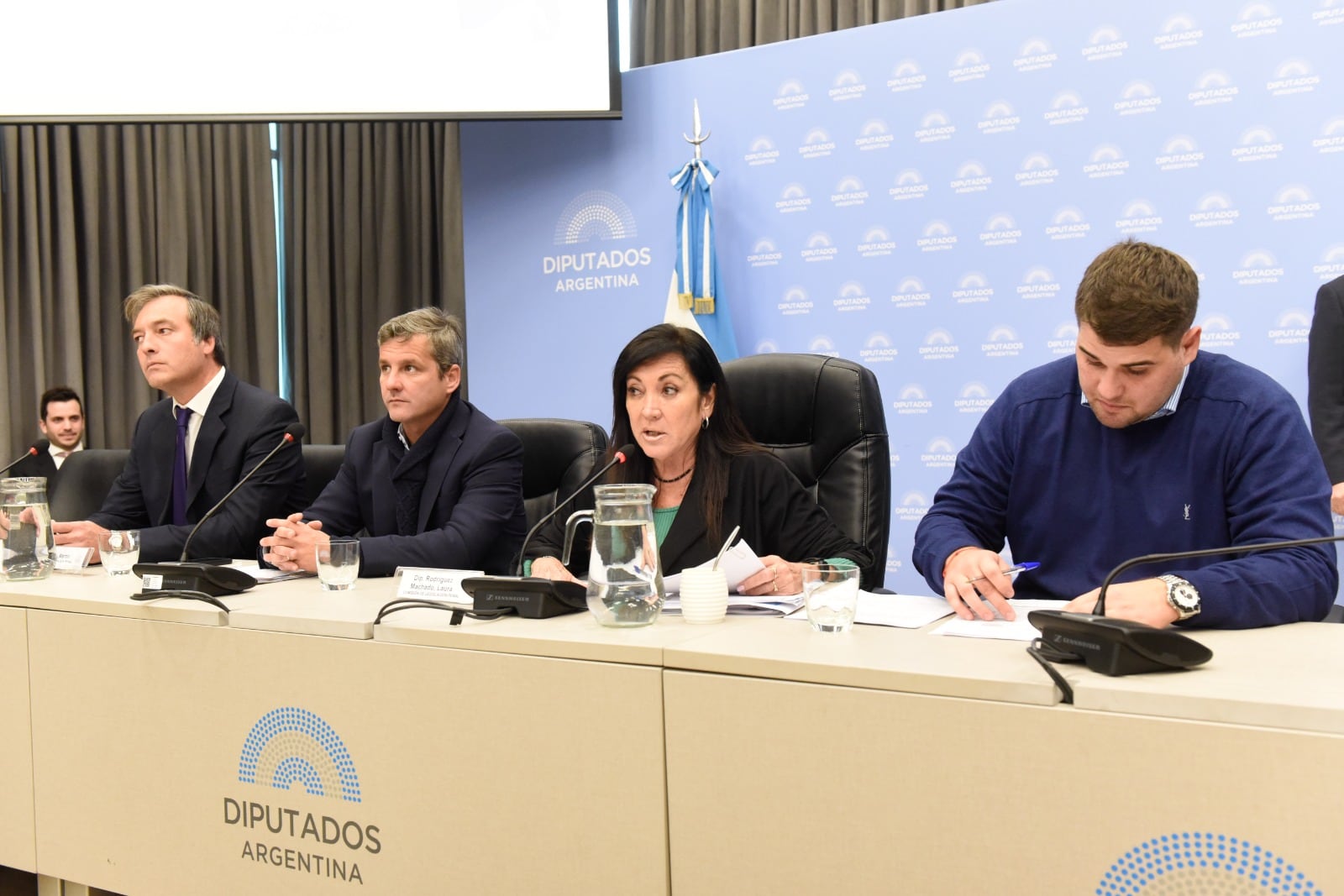 La diputada cordobesa Laura Rodríguez Machado (PRO) condujo el debate en la Comisión de Legislación Penal (Foto: HCDN)