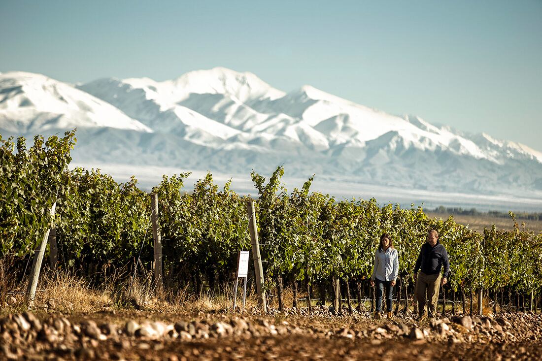 Paseos entre los viñedos. Foto: Ministerio de Cultura y Turismo de Mendoza.