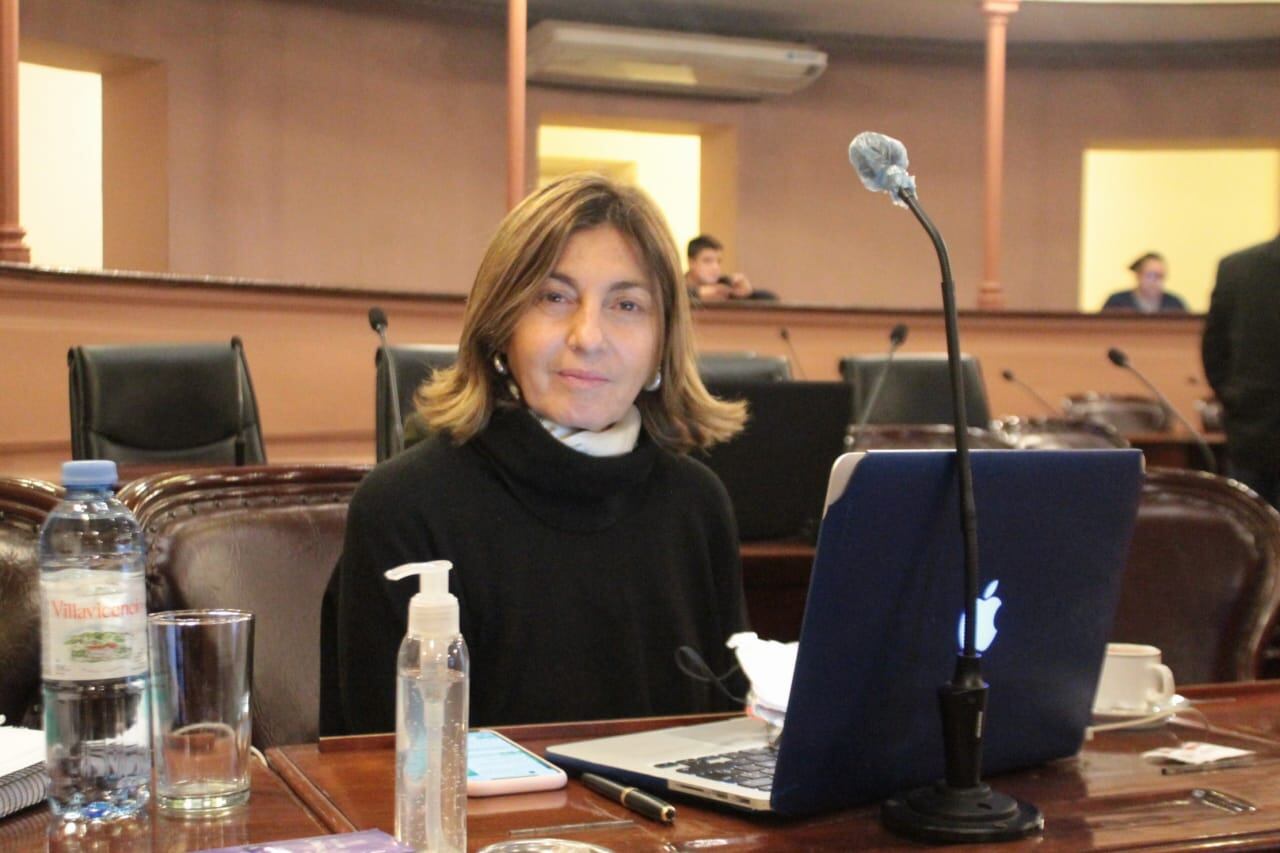 Alicia Fregonese, titular del Consejo General de Educación