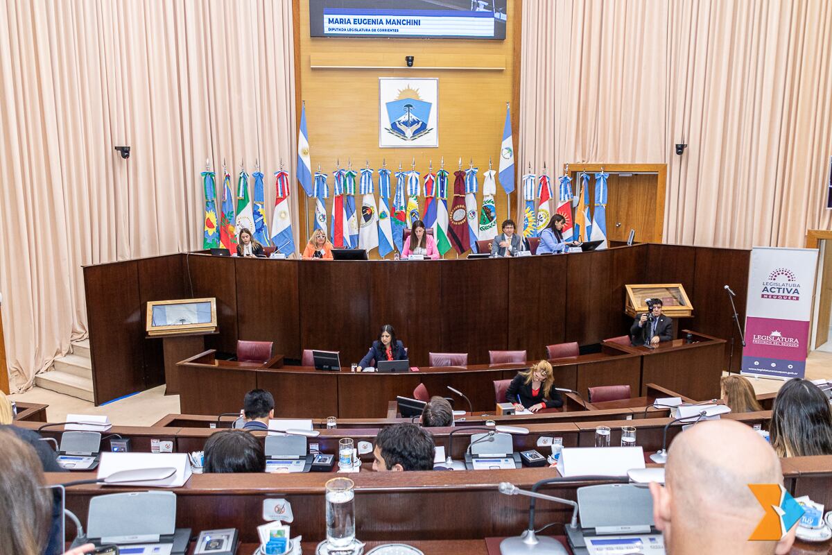 María Laura Colazo evaluó el encuentro de la Comisión Federal de Cambio Climático (CFCC) en Neuquén.