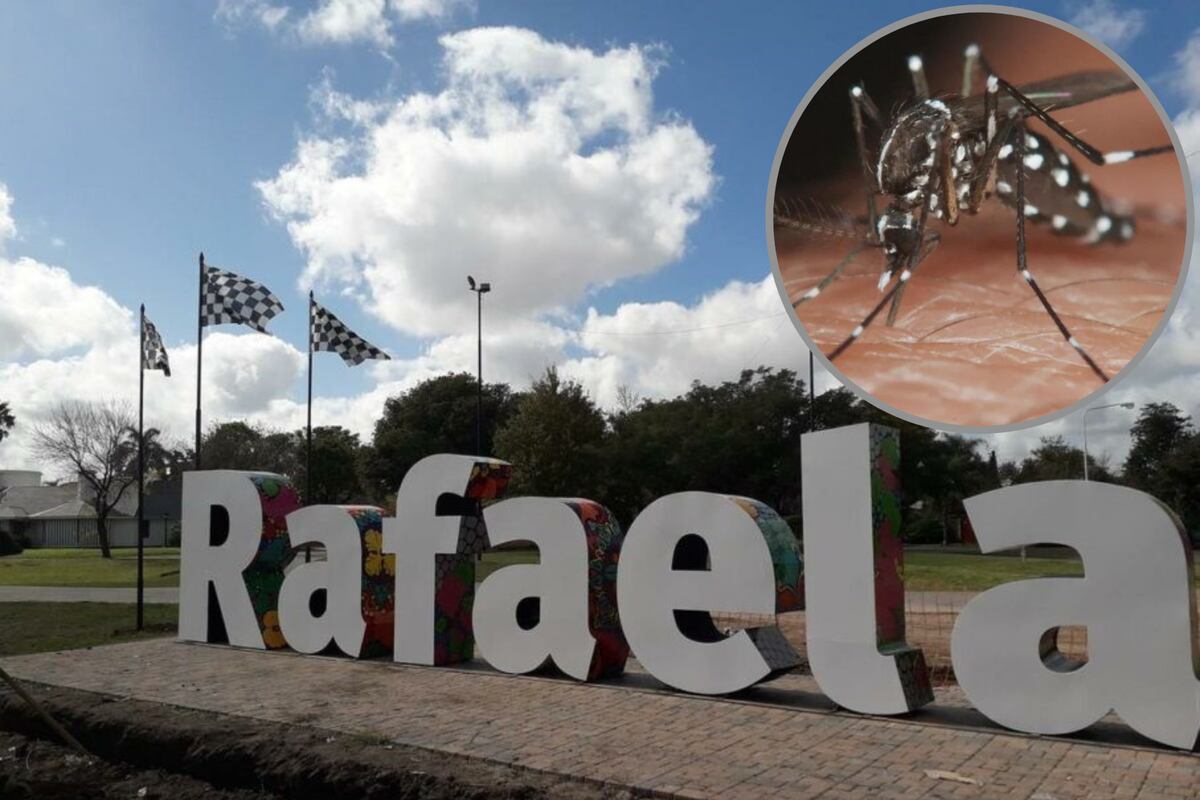 Dengue en Rafaela: más de 1.000 casos oficiales detectados y siguen creciendo
