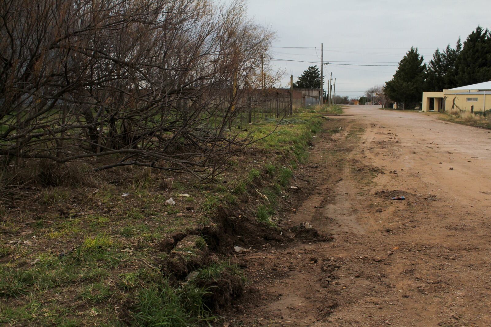 Higiene Urbana trabaja en un predio de calle Liniers al 1700