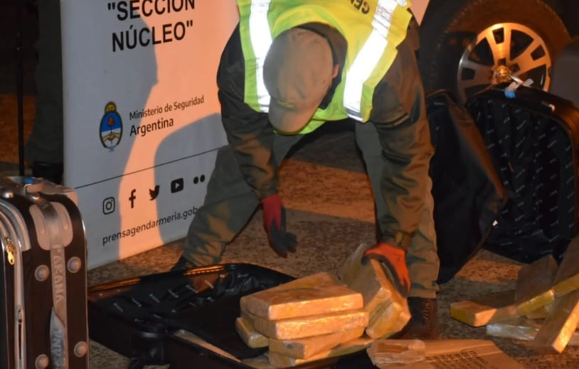 Gracias a un can antinarcóticos, secuestran marihuana procedente de Puerto Iguazú.