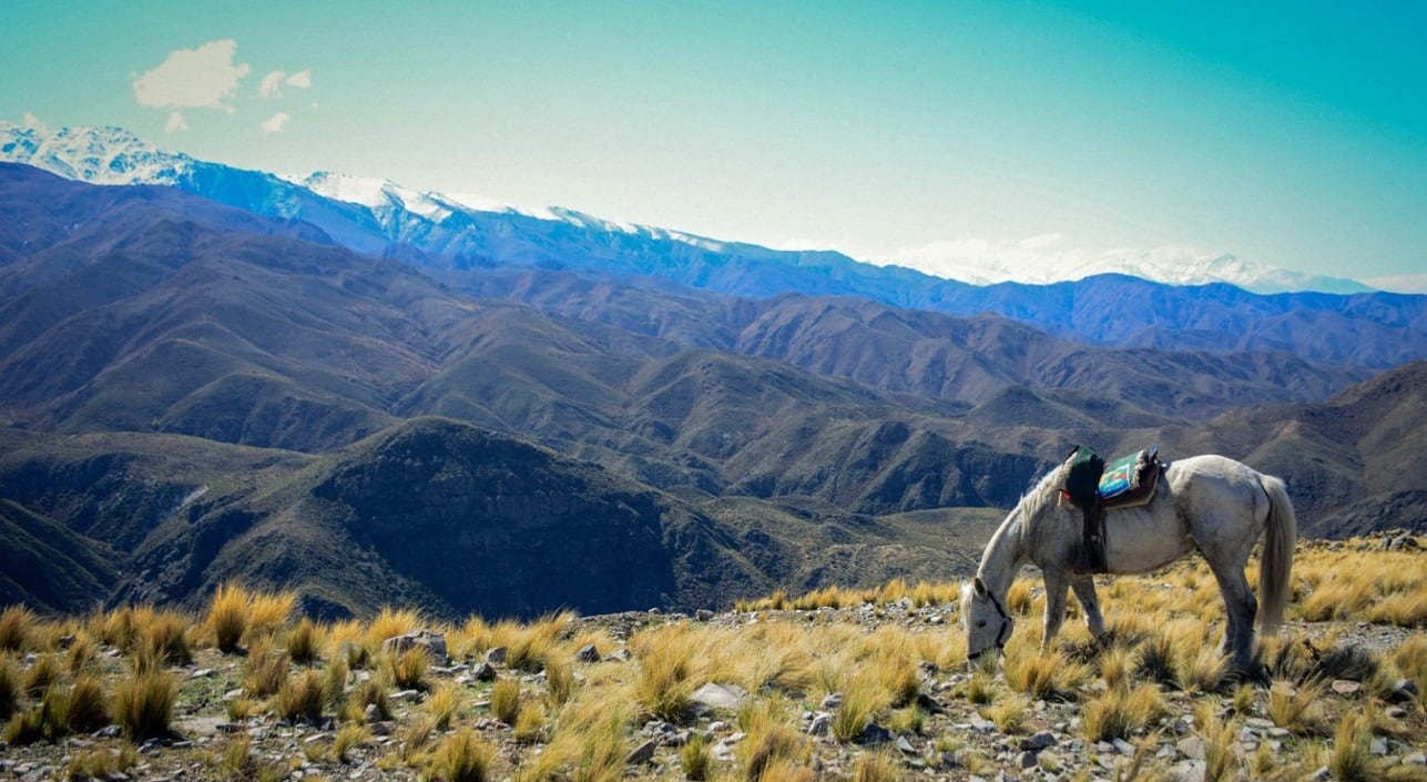 Los paisajes inmersivos de la región de Mendoza