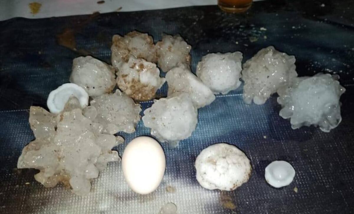 Temporal extremo en Córdoba: ráfagas de 170 km/h causaron destrozos en el interior