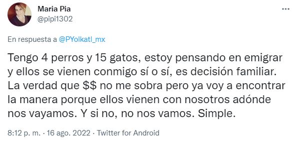 Se mudó del país, se llevó a todas sus mascotas y su foto emociona en las redes: la reacción de Twitter.