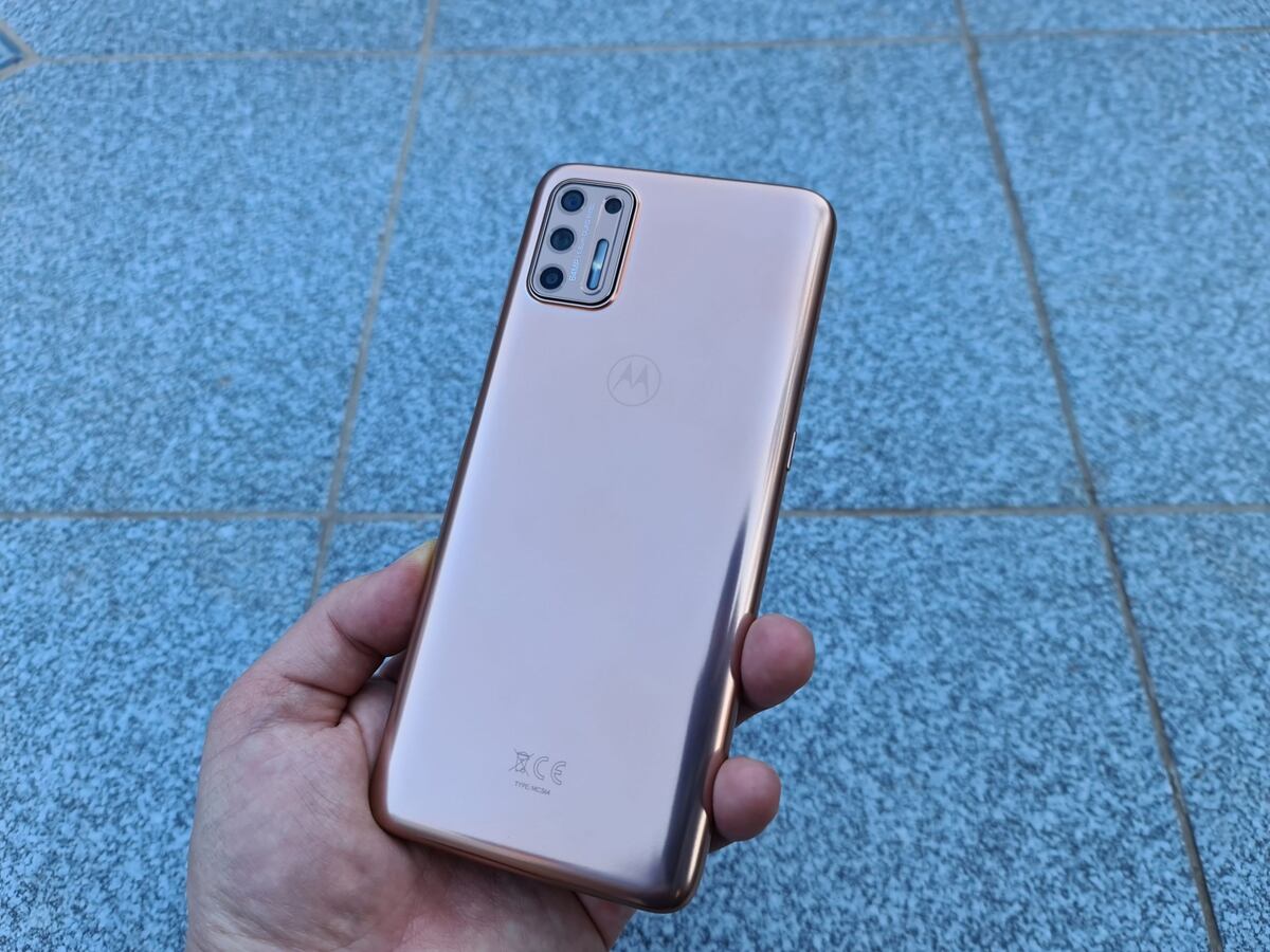 Arroyito: realizaron un allanamiento en un local de telefonía celular que arrojo resultado positivo