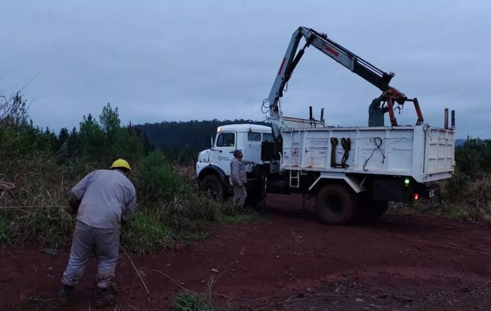 El saldo de la tormenta en Puerto Libertad: caída de postes y líneas eléctricas en zonas rurales.