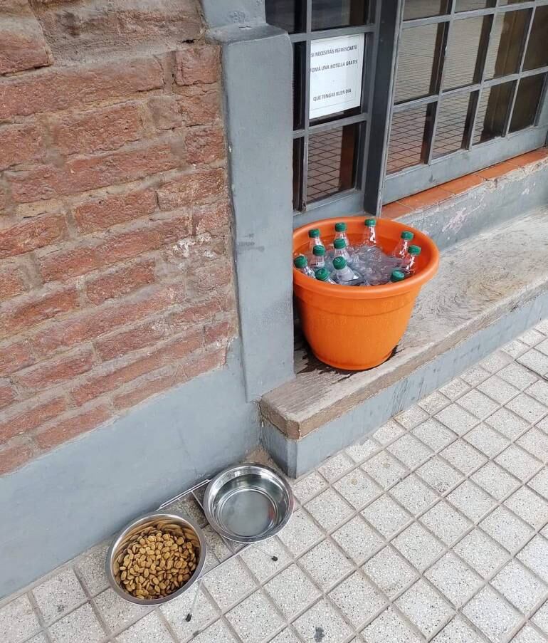 El bar de Resistencia dejó un recipiente con hielo y botellas de agua mineral, además de un plato de comida para mascotas y un recipiente con agua.