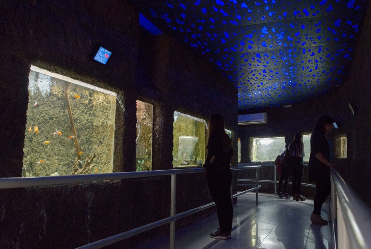 Convertirán el Acuario en un Centro de Conservación de la Biodiversidad