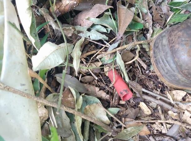 Hallan restos de campamentos de cazadores furtivos en el área del Parque Nacional Iguazú.