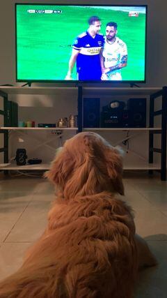 Bono concentrado viendo el partido. 