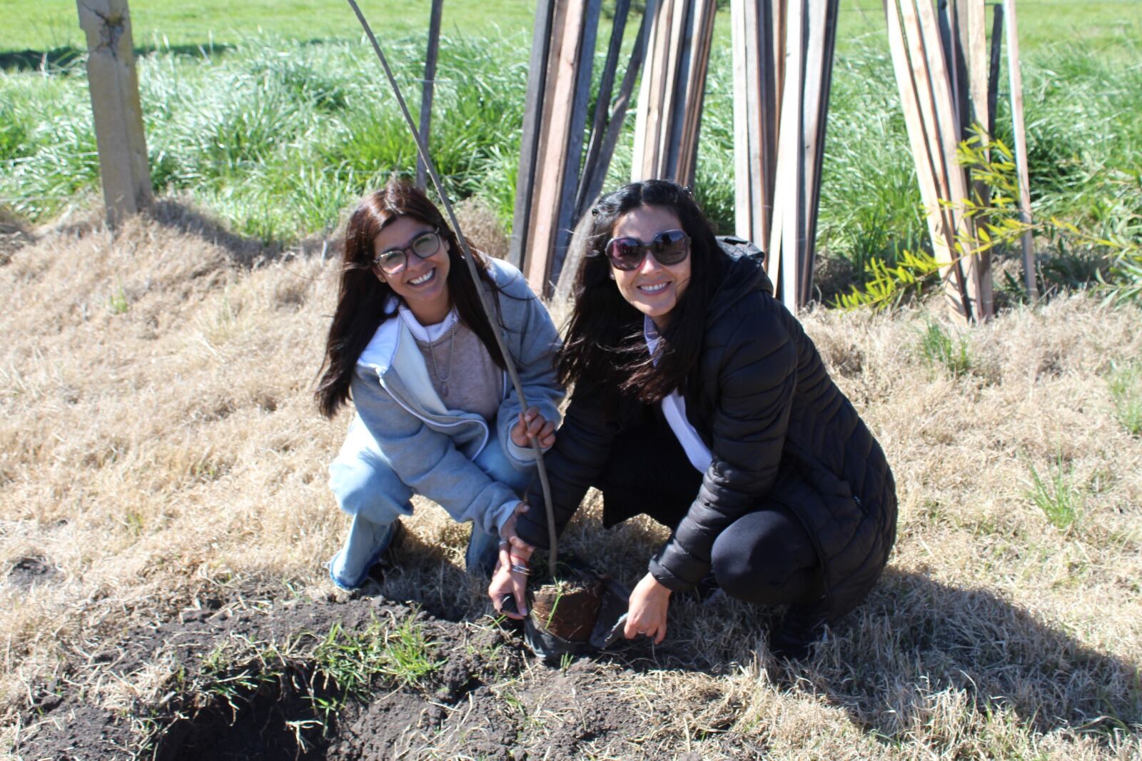 Tres Arroyos: Se realizó la jornada de forestación en el Polo Educativo