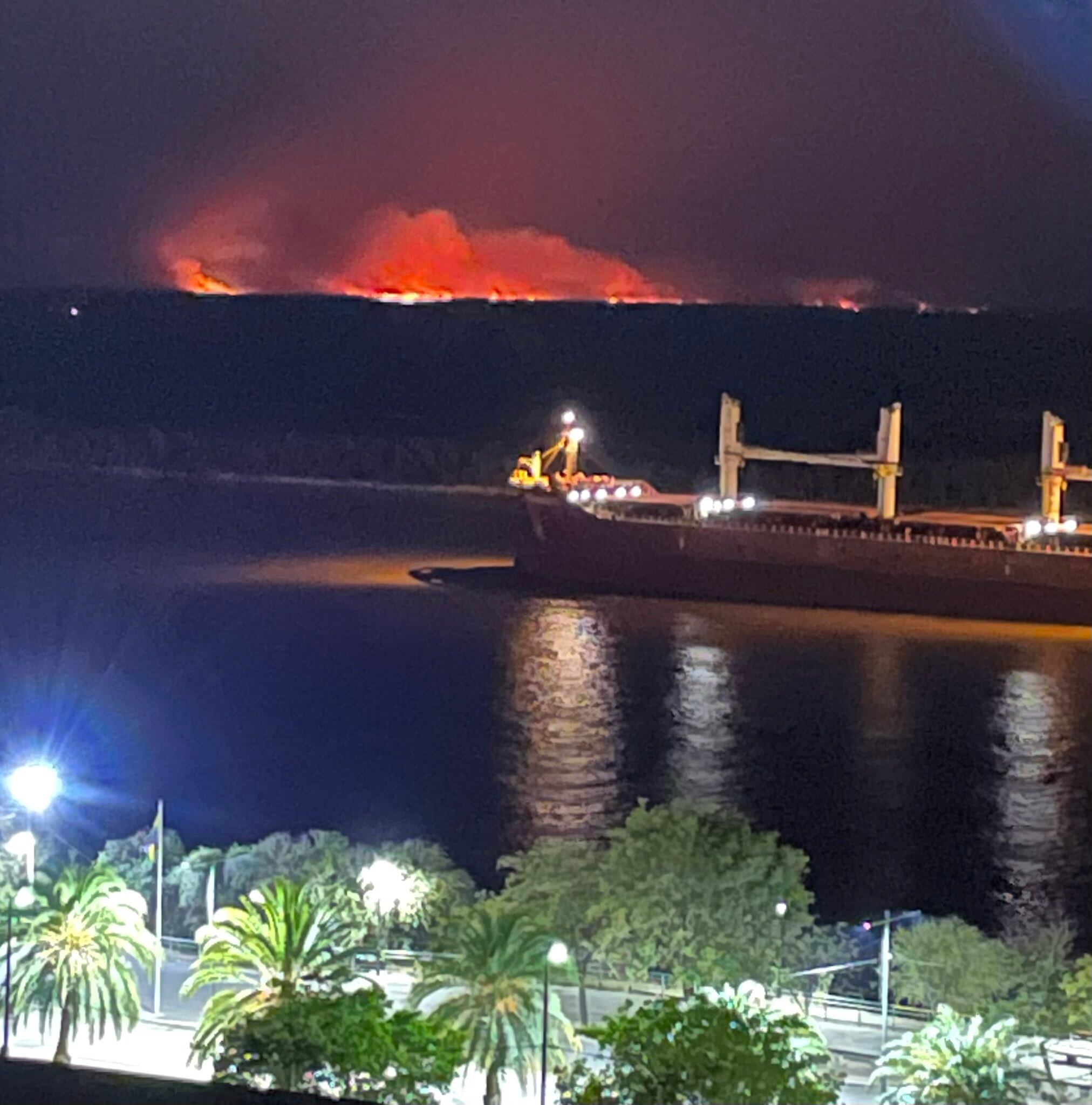 Incendios en las islas del delta del Paraná frente a Rosario.