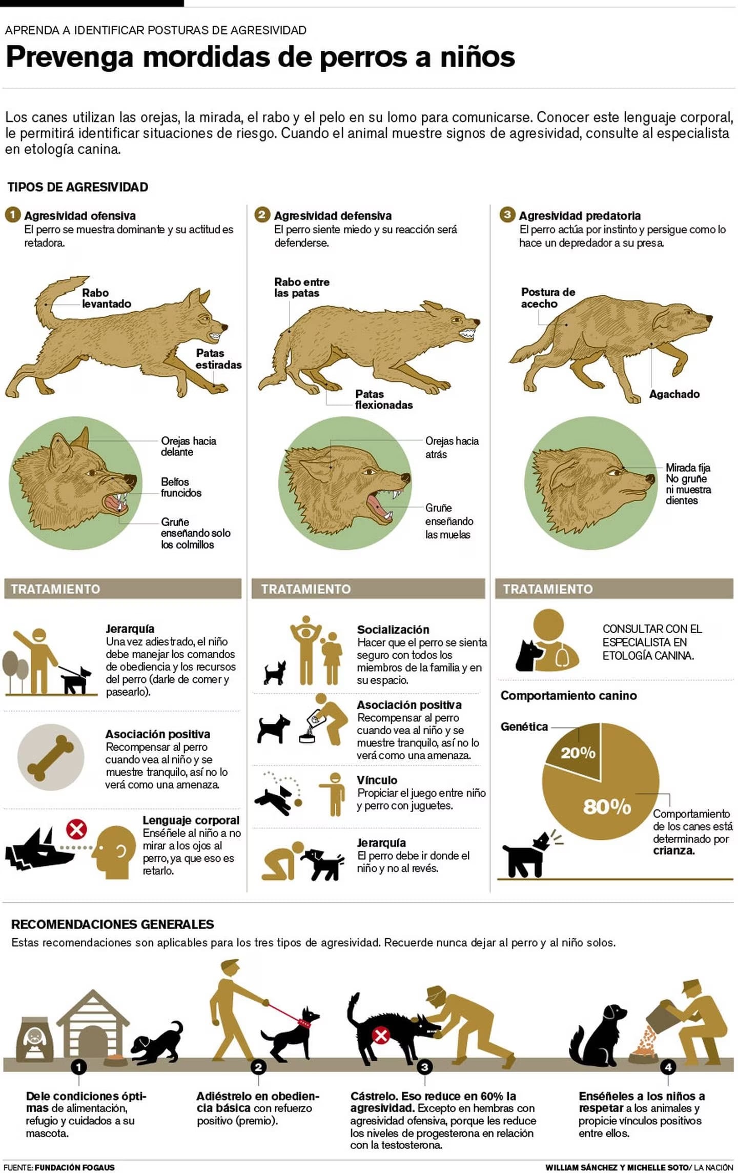 Prevención mordedura de perro