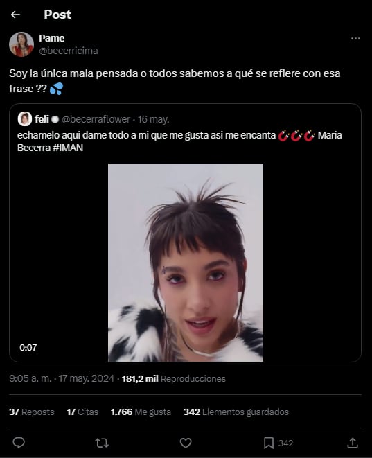 Una fan comentó lo que pensó sobre un fragmento de la canción de María Becerra.