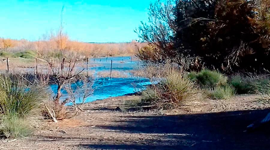 La ribera del Atuel se ha desbordado 