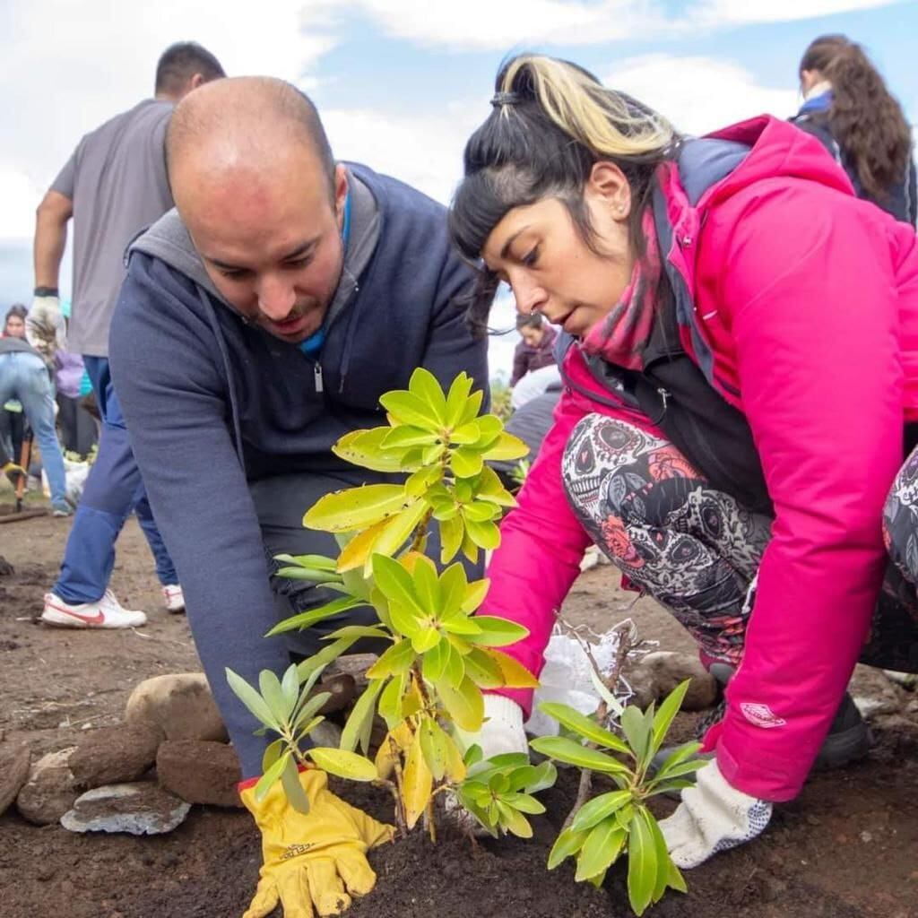 Exitosa jornada de plantación de árboles autóctonos en Ushuaia