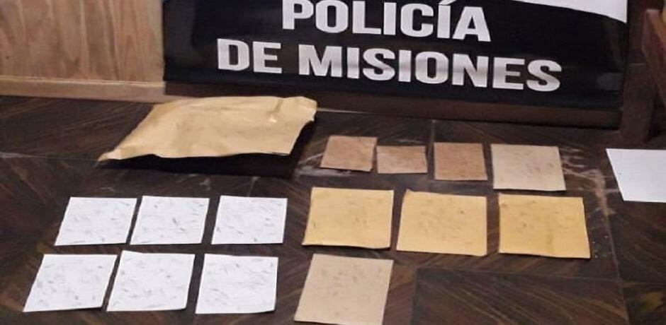 Incautaron marihuana en un allanamiento en San Ignacio .