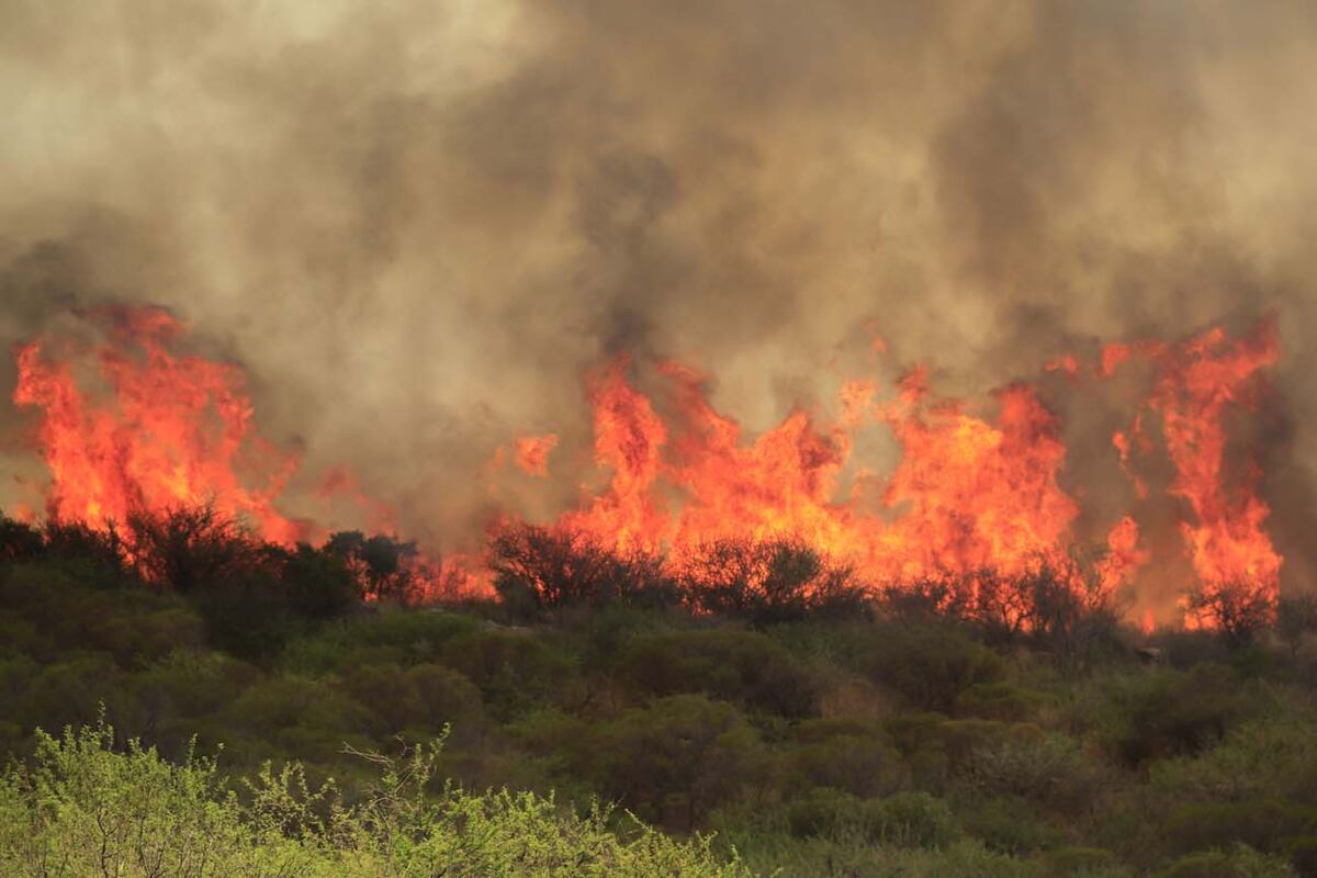 Bomberos de Córdoba contuvieron el incendio registrado cerca de la CONAE