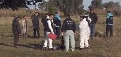 El hallazgo en un descampado de Mar del Plata.