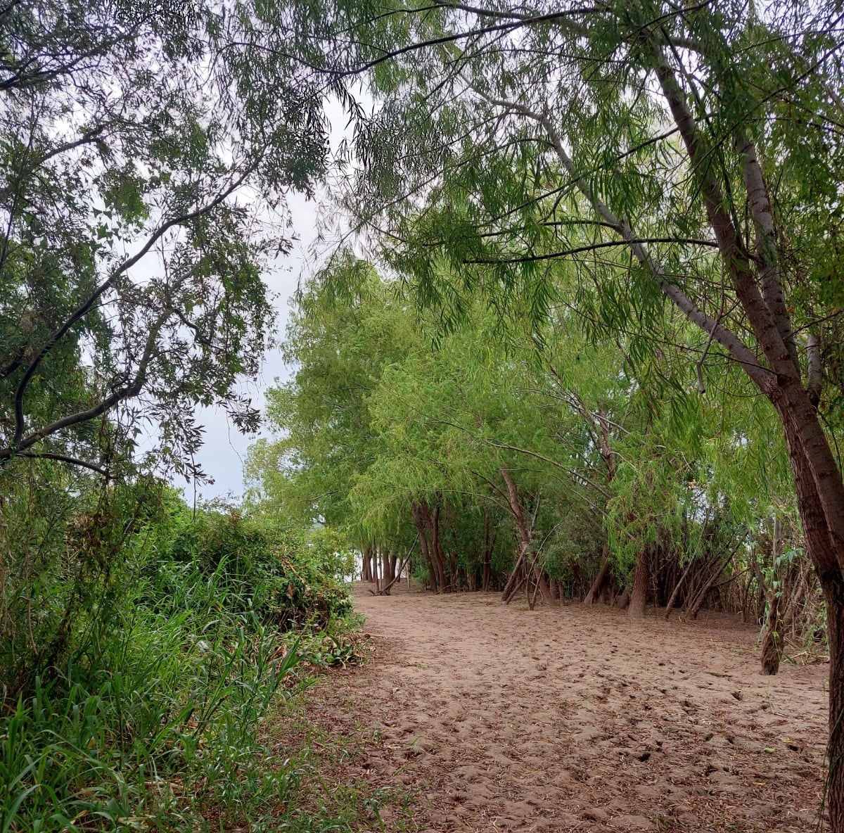 Islote Curupí, una pequeña isla que oficia de paraíso a escasos metros de la ciudad.