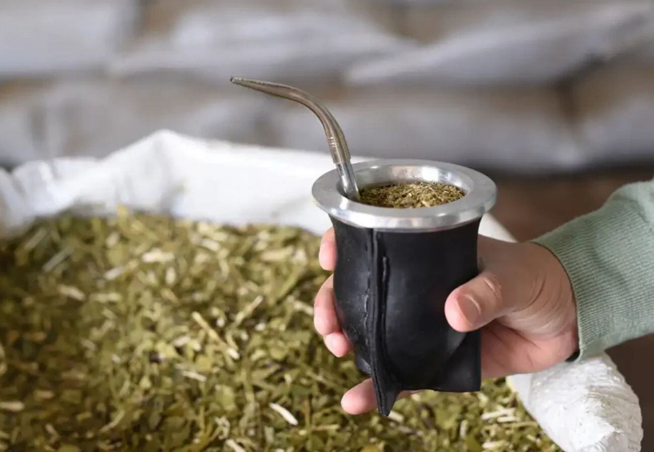 El 30 de noviembre se conmemora el Día Nacional de la Yerba Mate