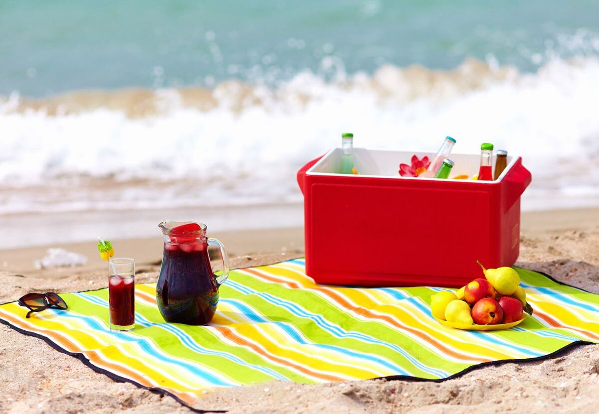 Chau a la heladerita clásica: el nuevo modelo que es furor para llevar las bebidas este verano 2026