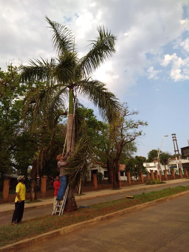 En Iguazú se llevan adelante tareas de limpieza en espacios públicos