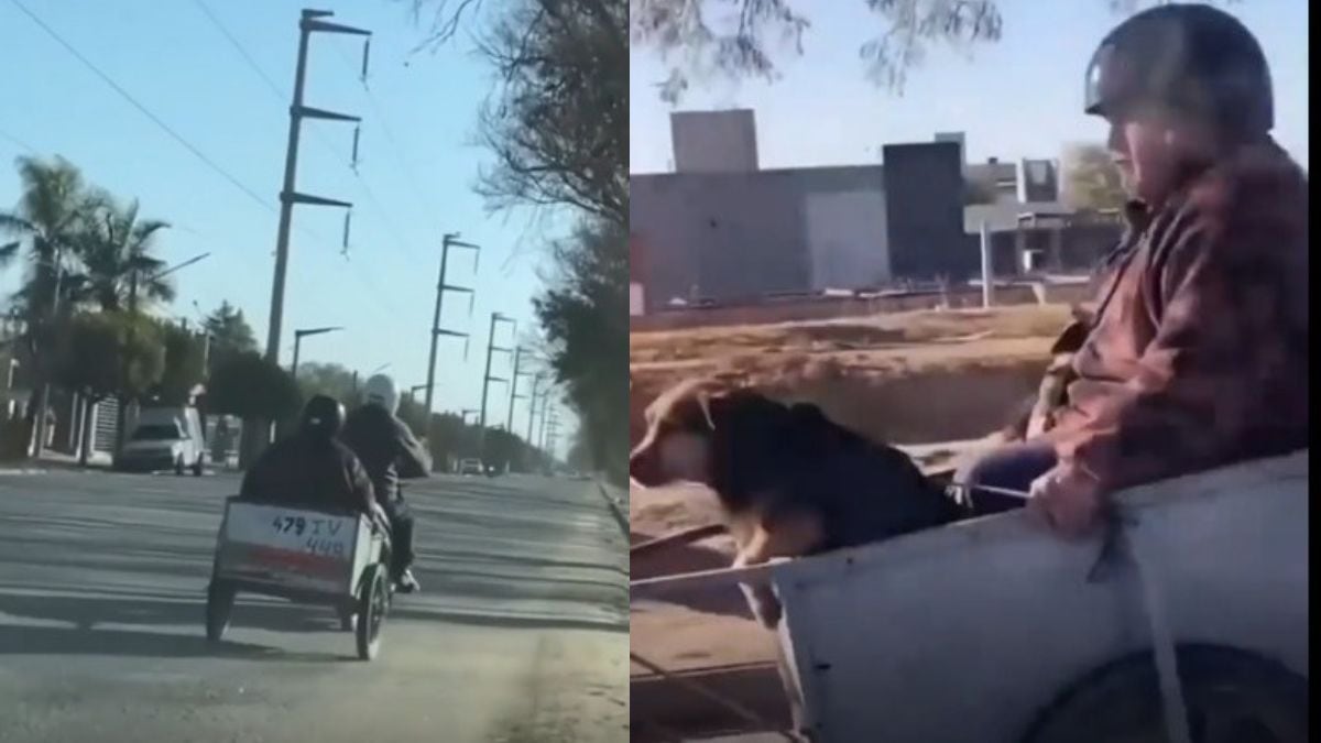 El ingenioso transporte cordobés que se hizo viral.