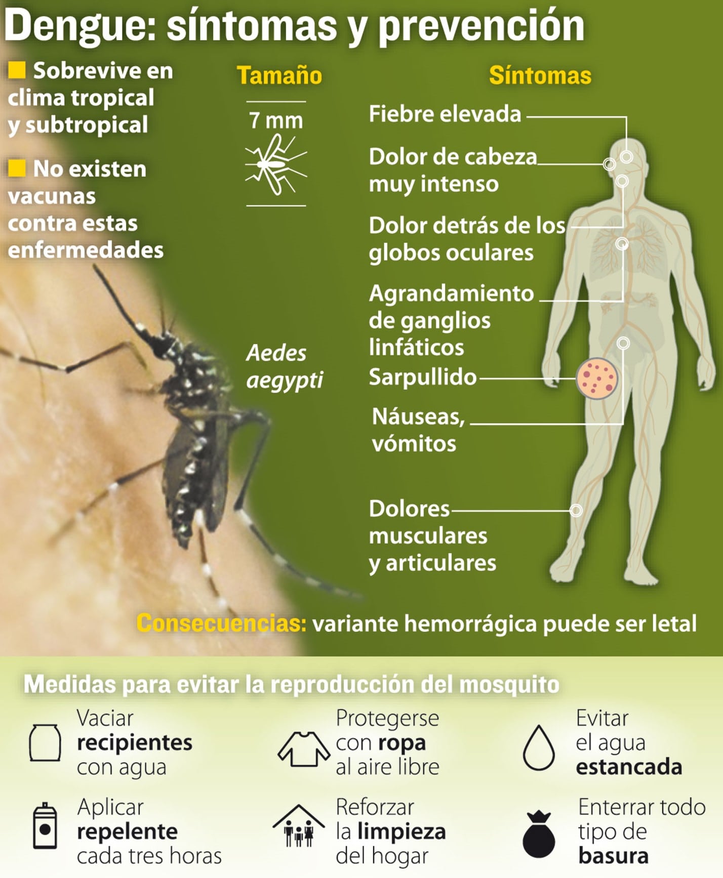 Dengue: amplían las medidas para eliminar definitiva el Aedes aegypti en Gualeguaychú