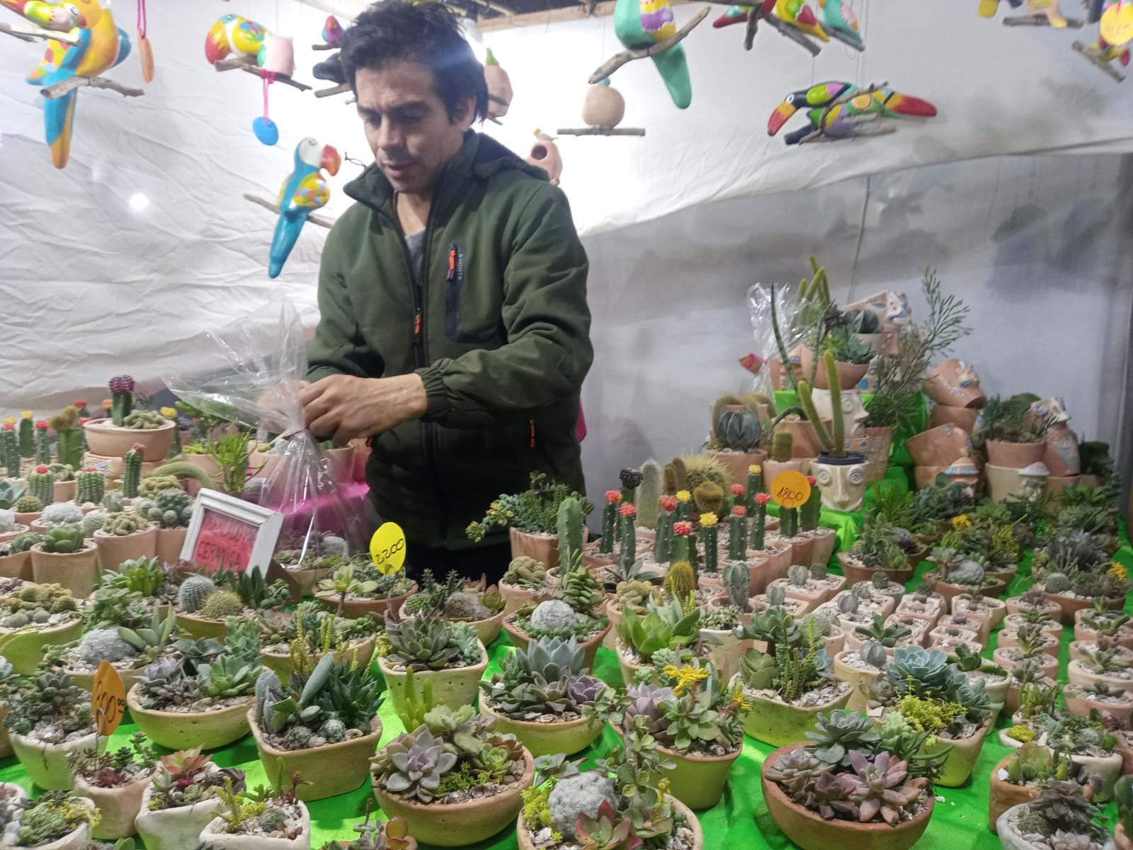 La 24º Feria Nacional de Artesanos en imagenes