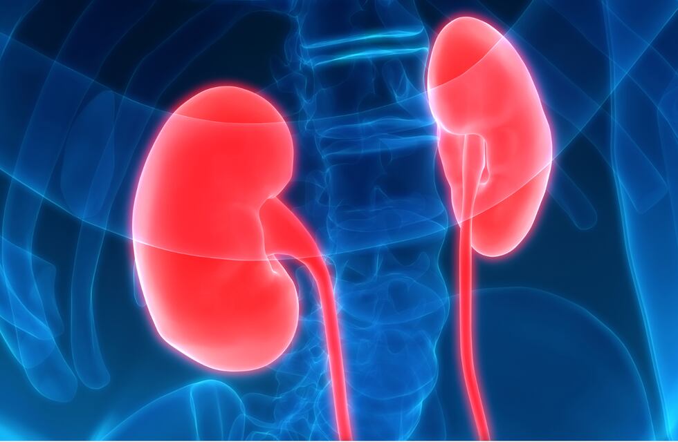 2Q4LENAXYZEU3N7EVQFDXKKG5Y