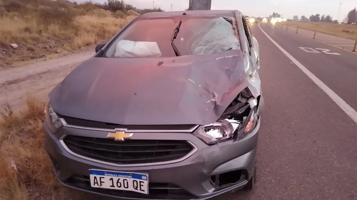 Una mendocina chocó contra un caballo y otro auto volcó al intentar esquivarla