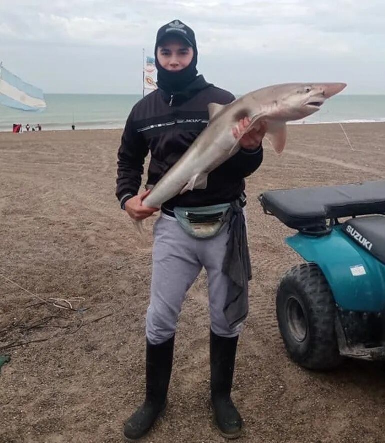 Lucas con el cazón de 11.060 kilos que posteriormente fue devuelto al mar.