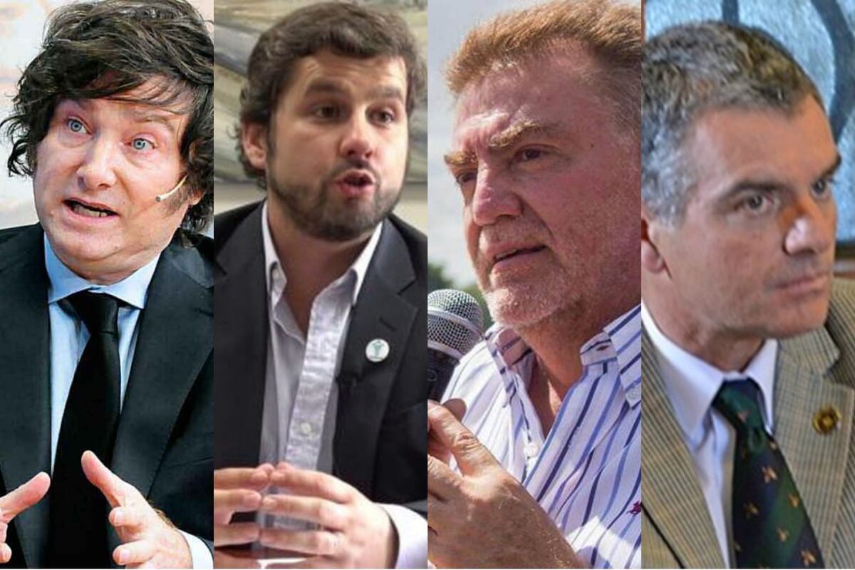 Javier Milei le gana a muchos políticos en Tucumán