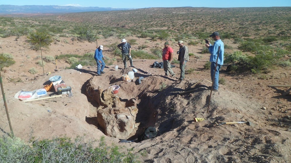 Inawentu oslatus, una nueva especie de dinosaurio, fue descubierta en Neuquén.