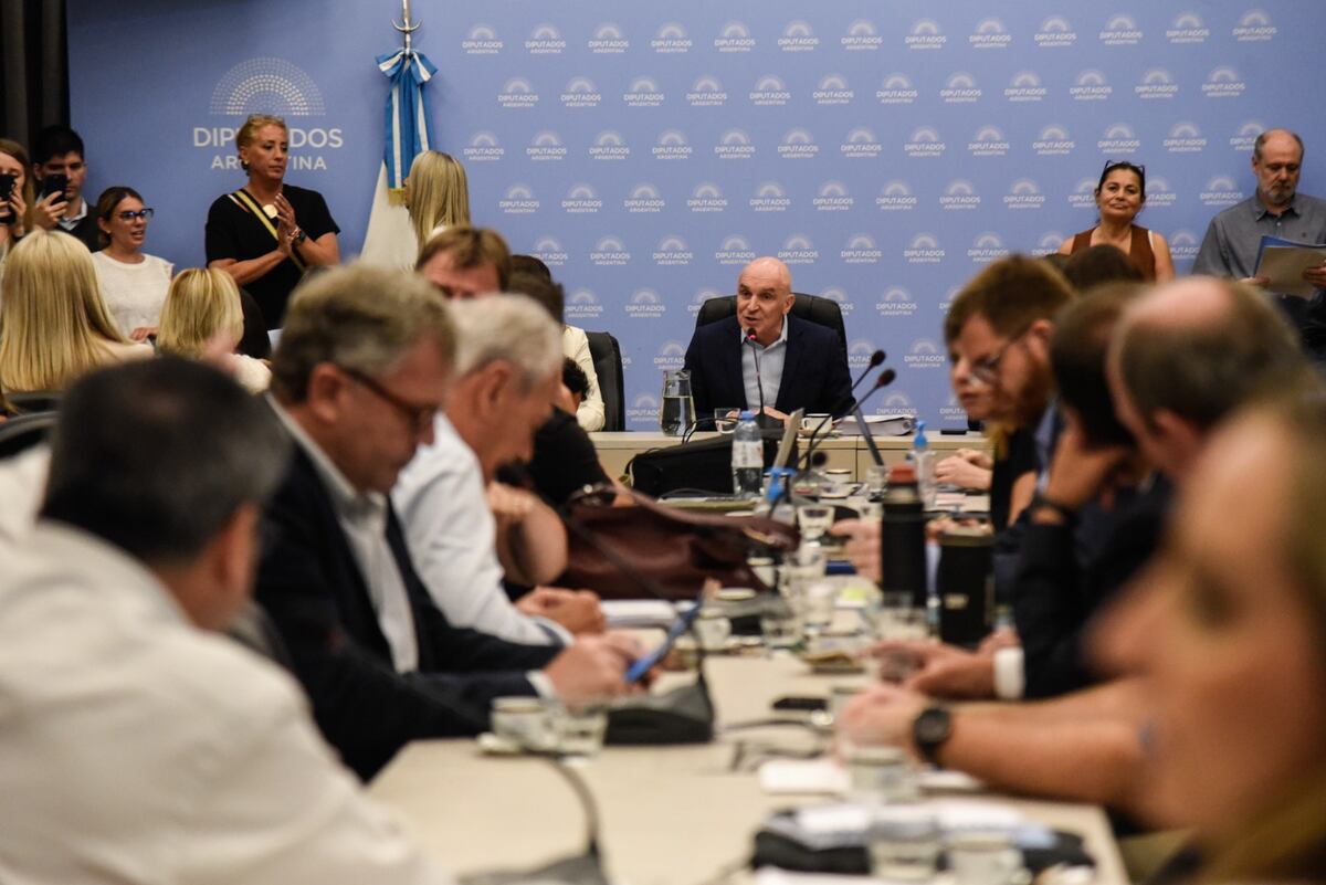 En dos jornadas maratónicas, el oficialismo apura el debate de la “ley ómnibus”
