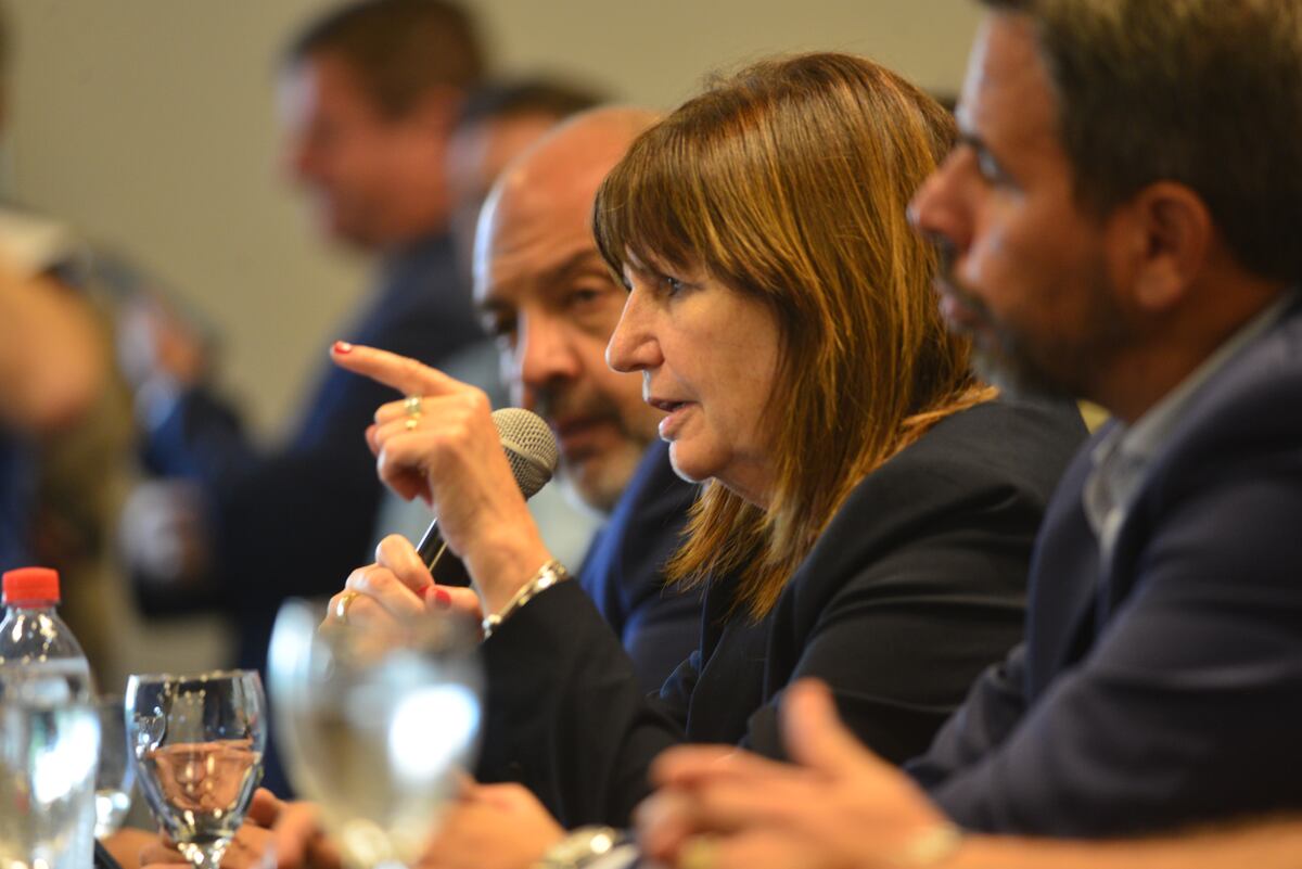 Patricia Bullrich envió al Congreso un proyecto de reformas para “luchar contra la narcocriminalidad”