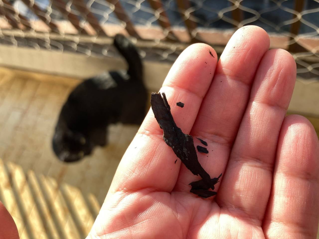 Las cenizas de la quema llegaron hasta sectores muy distantes de la costanera.