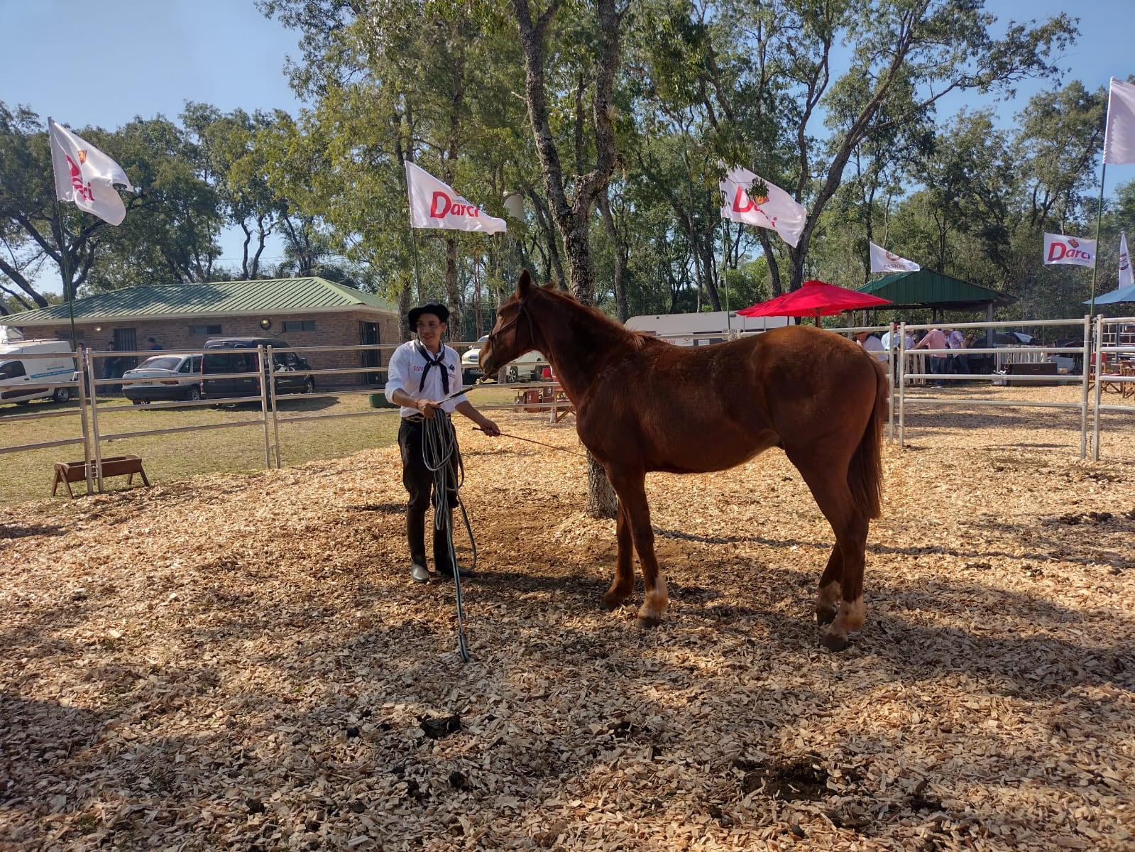 Expo Rural 2023 | Jura de clasificación, exposición ganadera y cabalgata