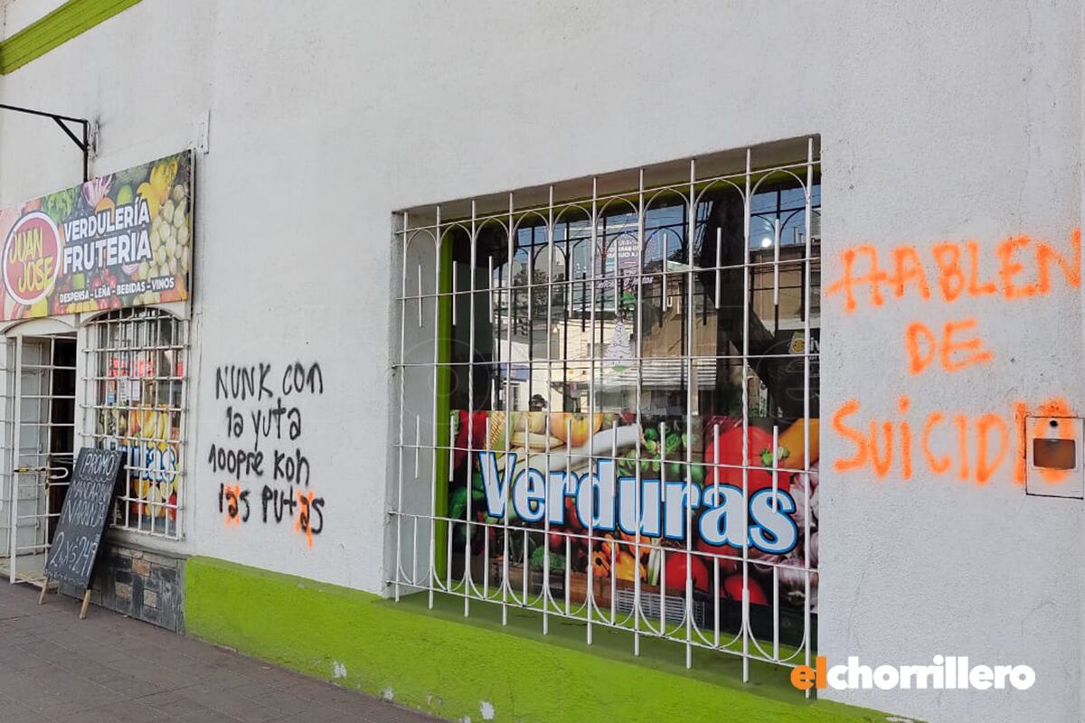 Pintadas en San Luis durante la marcha en el Encuentro Plurinacional de Mujeres.