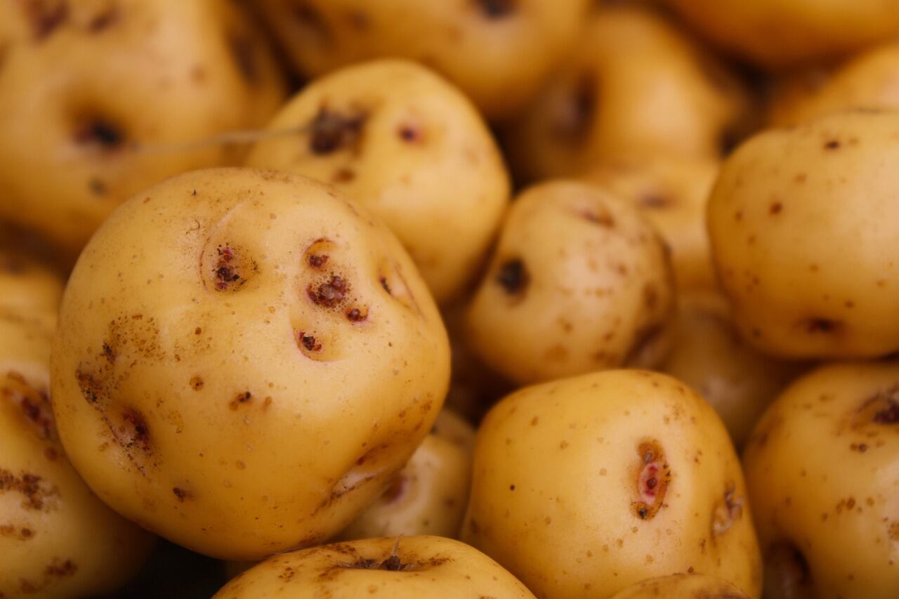 El truco para cocinar los mejores palitos de papa y zanahoria, ideales para acompañar almuerzos y cenas