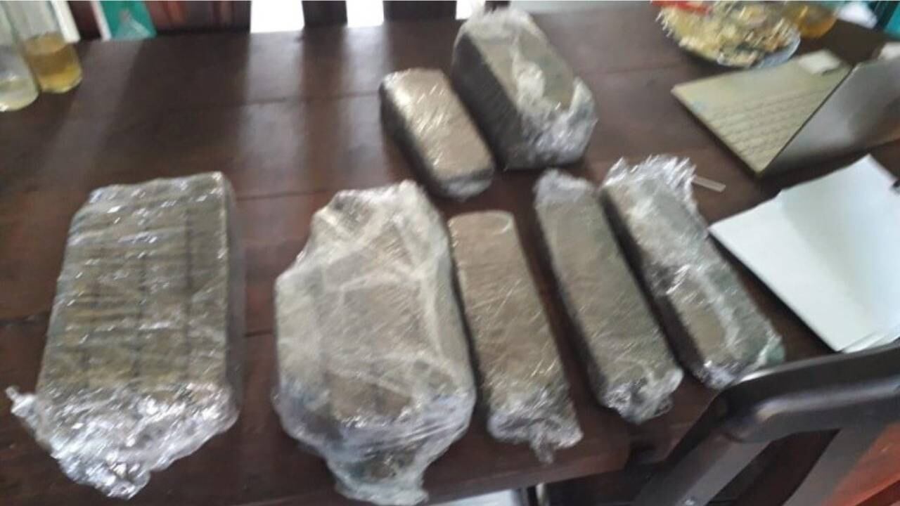 Escondió marihuana en la comida del perro y la policía la encontró.