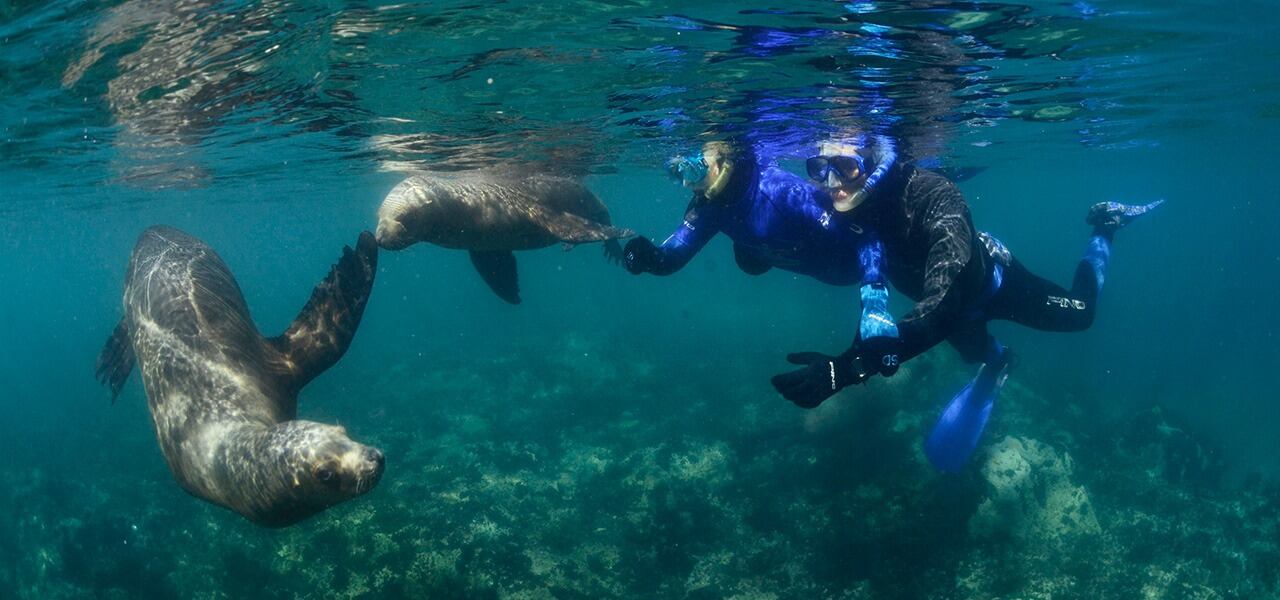 Una experiencia única en Puerto Madryn