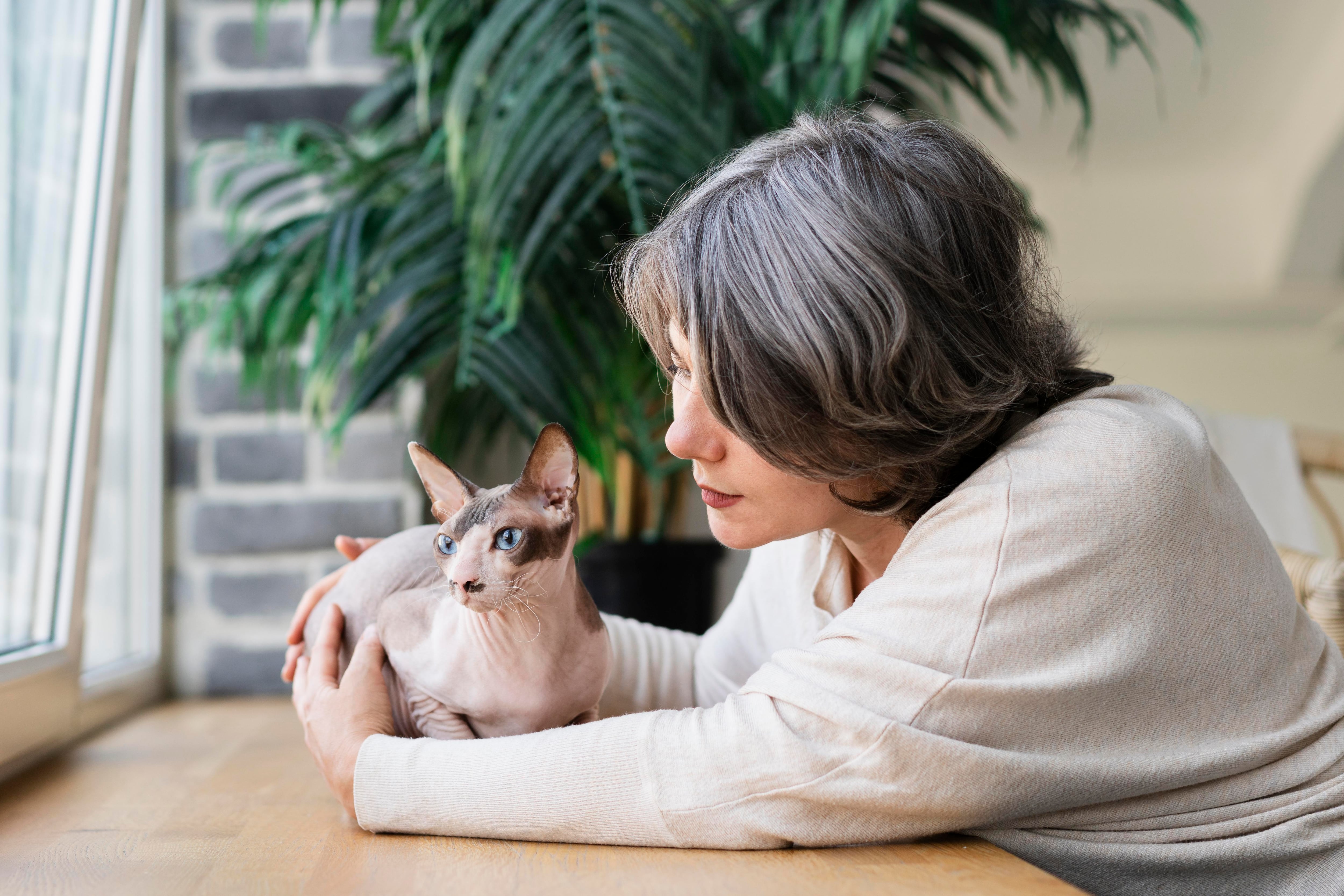 La investigación descubrió que el 90% de los encuestados tiene una relación cercana con su mascota.