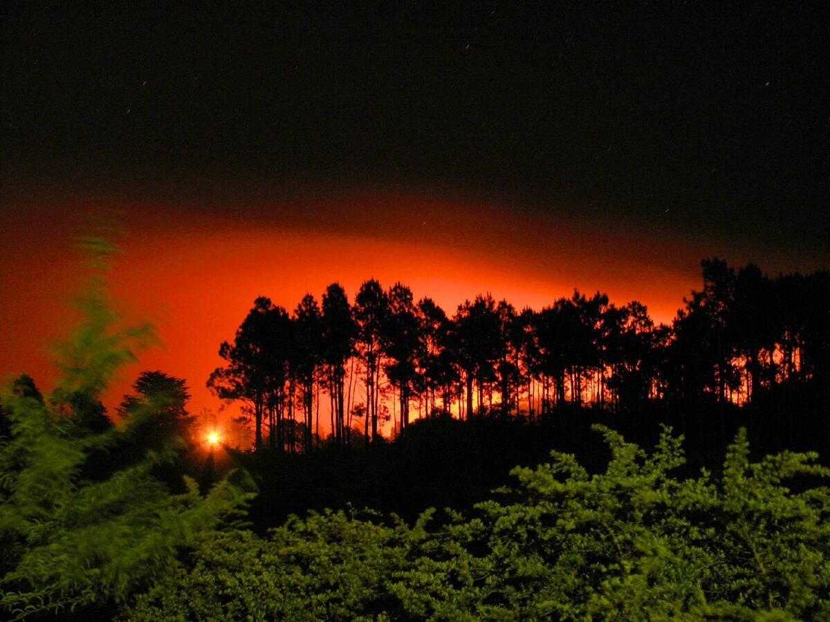Riesgo extremo de incendios en Punilla por altas temperaturas y viento norte