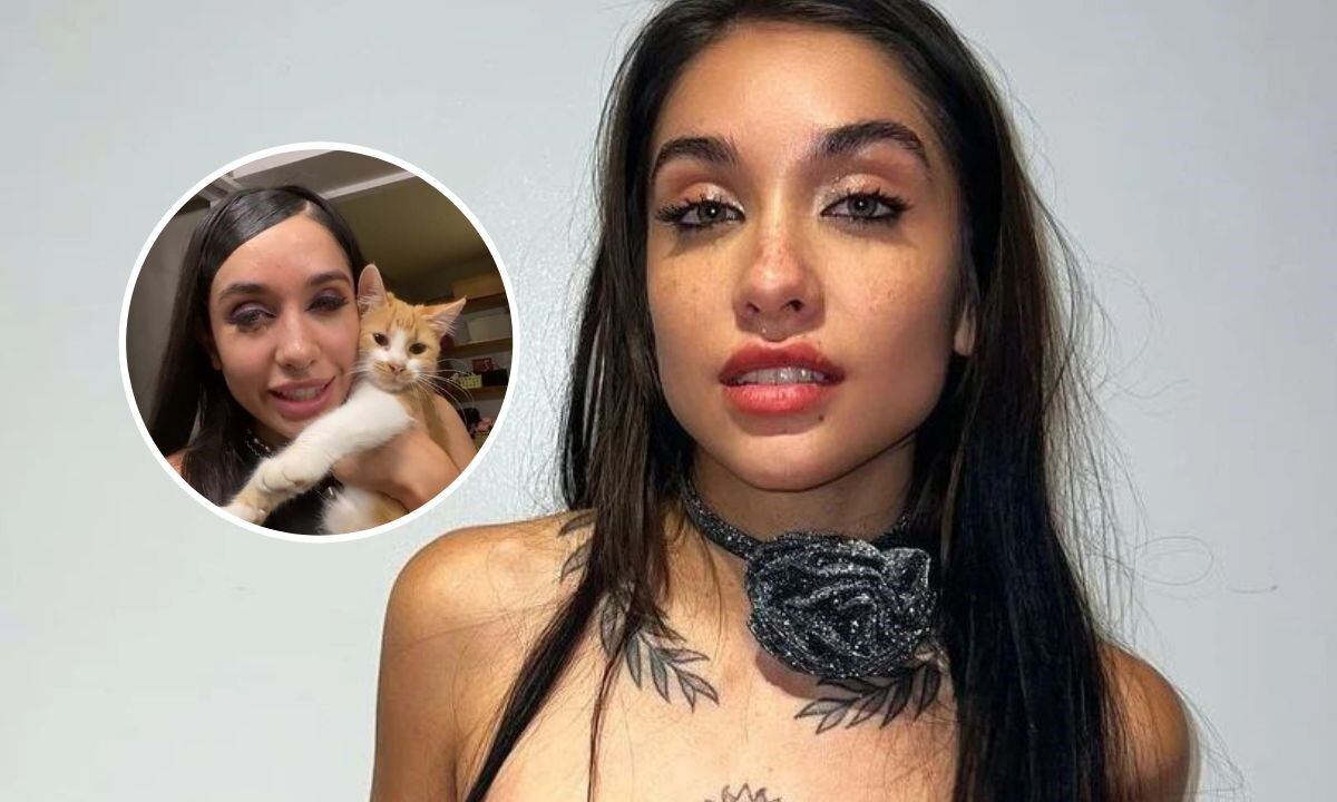 María Becerra reveló que tiene 12 gatos y contó la divertida anécdota de cómo los adoptó