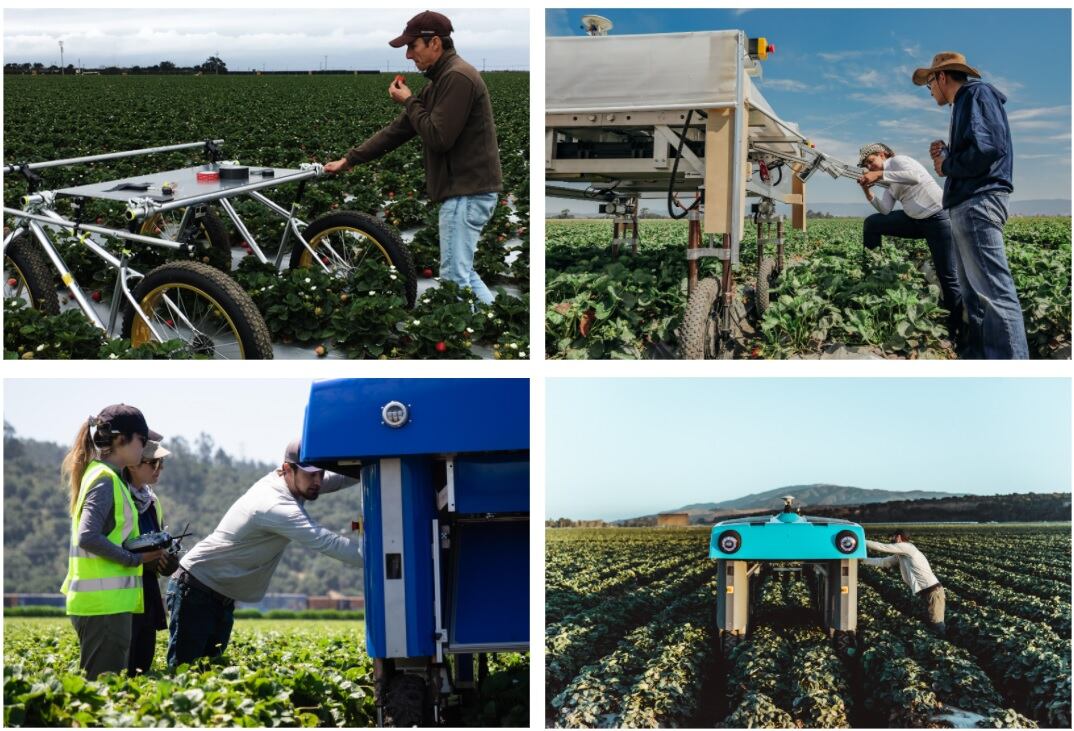 Agricultura Computacional: proyecto mineral del laboratorio X de Alphabet Inc., una empresa multinacional estadounidense cuya principal filial es Google - Alphabet